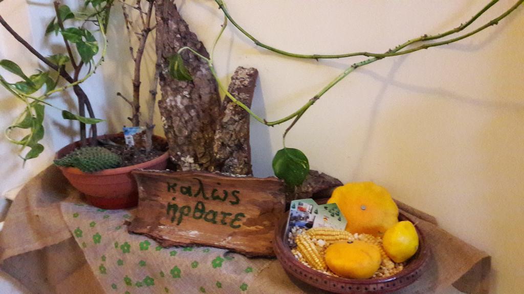 Hotel Artemis Karpenísion Zewnętrze zdjęcie